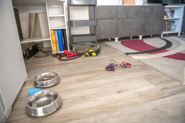 A cluttered pile of pet leashes, toys, and food bags in a home corner, highlighting the need for organized storage.