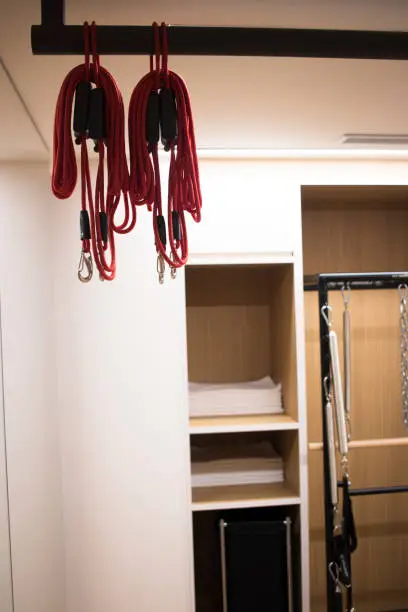 A dog owner’s closet with organized storage for leashes, training gear, and toys, designed for daily use.