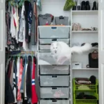 A stylish, organized closet with pull-out bins, hooks, and drawers for pet supplies, designed for pet owners’ convenience.