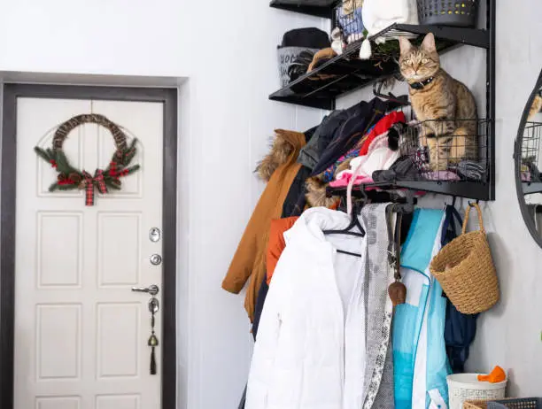 A mudroom closet with hooks, bins, and shelves designed for dog and cat gear, integrated into a home entryway