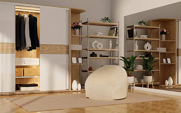 Built-in closet systems vs. freestanding wardrobe with mirrors